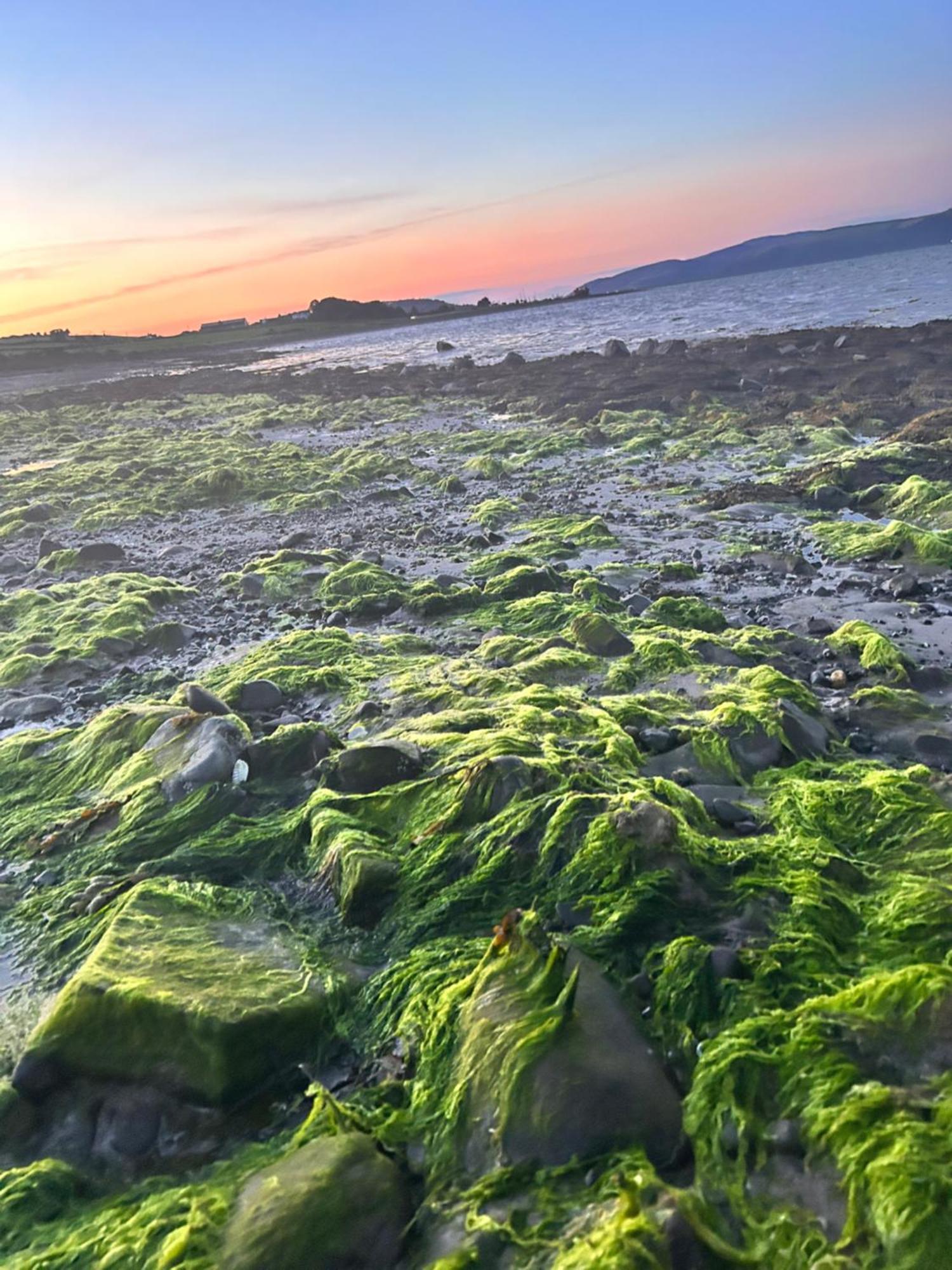ホテル Wigbay Loch View 28 Kirkcolm エクステリア 写真